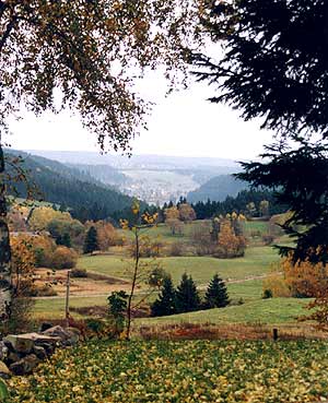 Natur pur erleben - Lenzkirch im Schwarzwald